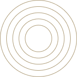 svg